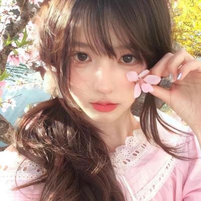 关于哈利的那些事